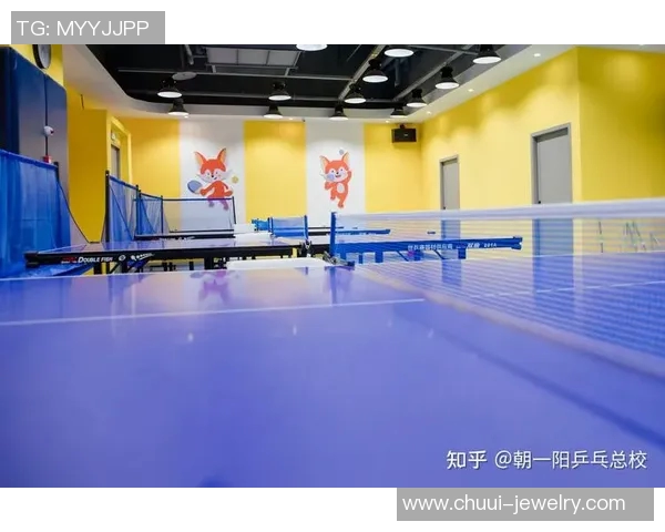 从零基础到高手之路乒乓球节奏掌握全攻略与技巧分享