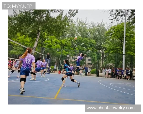 北京排球队的节奏变革引发热议新战术如何改变比赛格局与球队未来