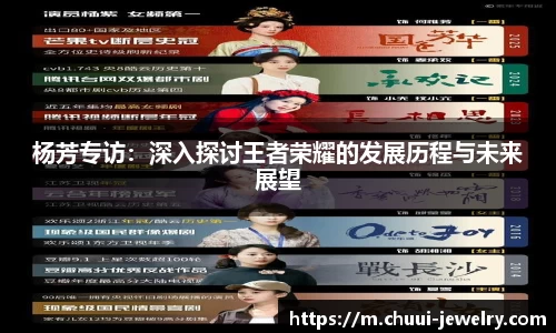 杨芳专访：深入探讨王者荣耀的发展历程与未来展望