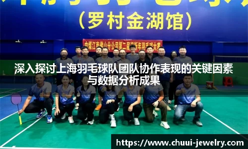 深入探讨上海羽毛球队团队协作表现的关键因素与数据分析成果