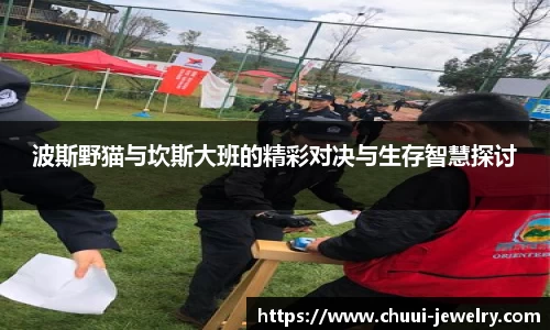 波斯野猫与坎斯大班的精彩对决与生存智慧探讨